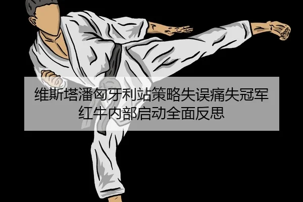 维斯塔潘匈牙利站策略失误痛失冠军 红牛内部启动全面反思